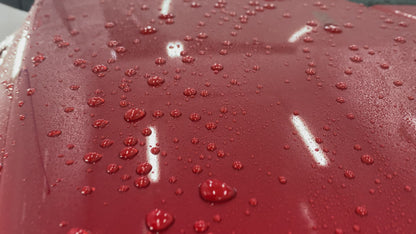 Reign System 3-in-1 Ceramic Waterless Wash